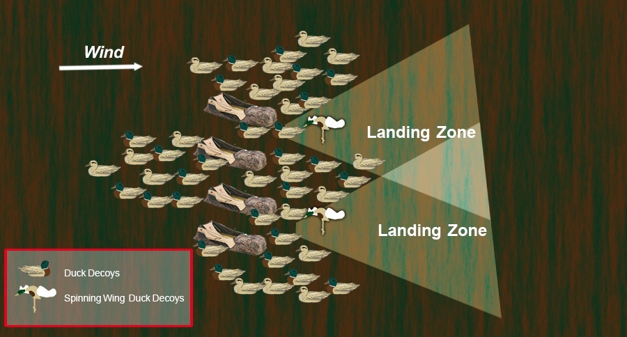 Duck Decoy Spreads: 12 Best Strategies To Lure Them In