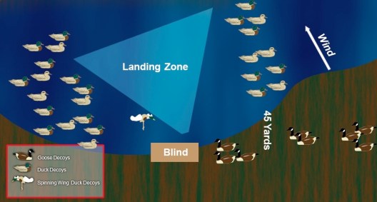 Duck Decoy Spreads: 12 Best Strategies to Lure Them In