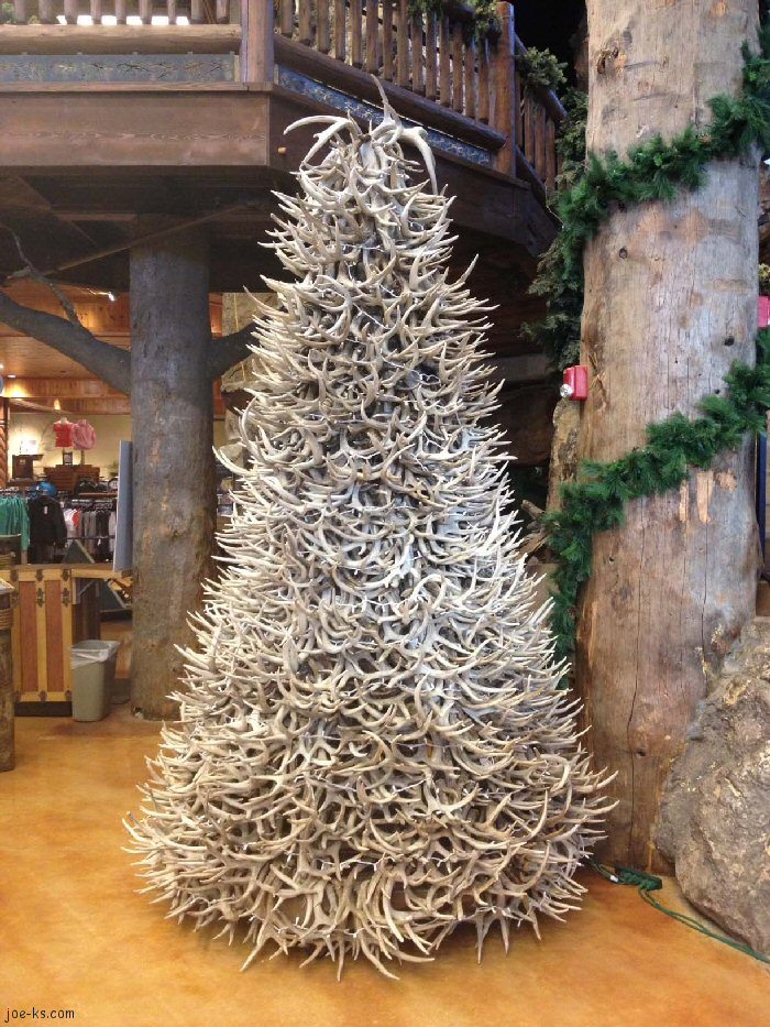 10 Shed Antler Christmas Trees to Get You in the Festive Spirit