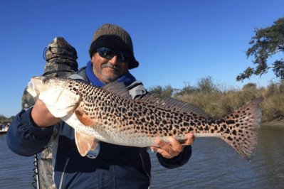 Rare Leopard Redfish Caught in Louisiana