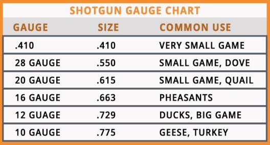 guide-to-shotgun-gauge-size