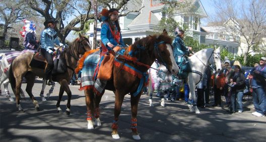 mardi gras parade horses