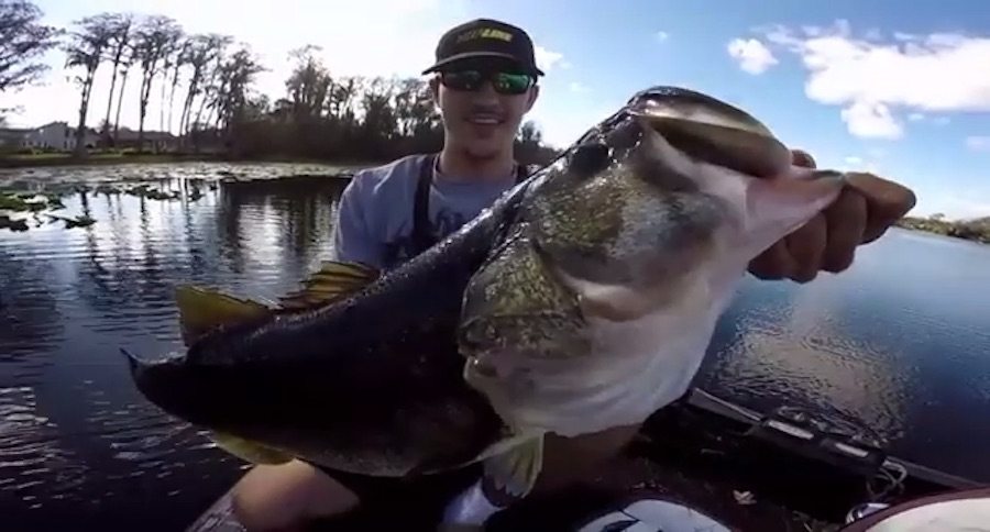 Slob Largemouth and Cussing: American Bass Fishing at its Finest