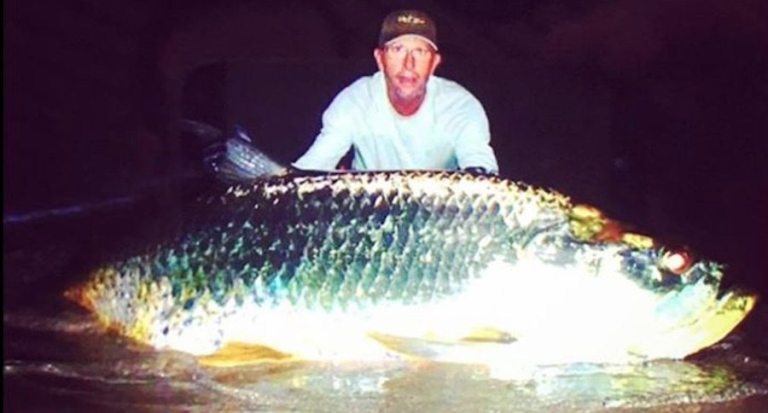 Here's the Scoop on This 326-Pound Potential World Record Tarpon