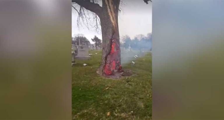 Stunning Footage Of A Tree Hit By Lightning Burning From The Inside Out Wide Open Spaces 