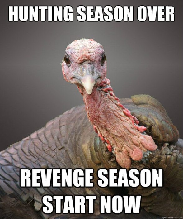 11 Turkey Memes That Will Get You Ready to Blast Those Birds - Wide ...