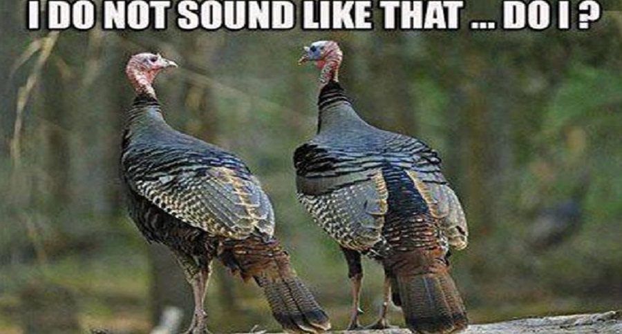 11 Turkey Memes That Will Get You Ready to Blast Those Birds - Wide ...