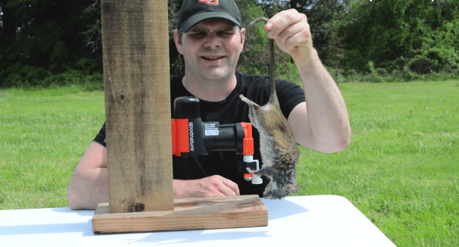 Shawn Woods Review: A Rat & Squirrel Killing Machine. The CO2 Gas Powered  A24 Trap In Action. 