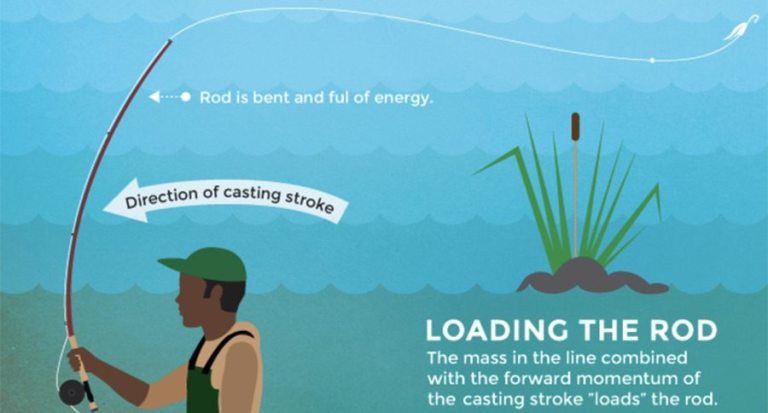 Fly Casting Infographic Offers Super Useful Pointers for Casting ...