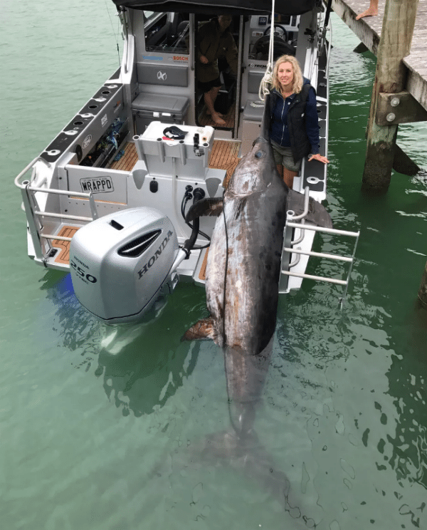 Woman Breaks 65-Year-Old Record With Monster Broadbill Swordfish - Wide ...