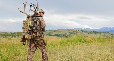 InSights Hybrid Bow Pack Sets the Bar Higher Than Ever! - Wide Open Spaces