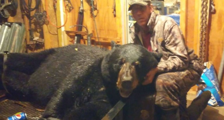 Minnesota Hunter Bags Huge 700-Plus Pound Black Bear - Wide Open Spaces