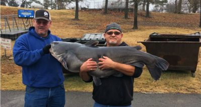 Monster Blue Catfish New Oklahoma Lake Record - Wide Open Spaces