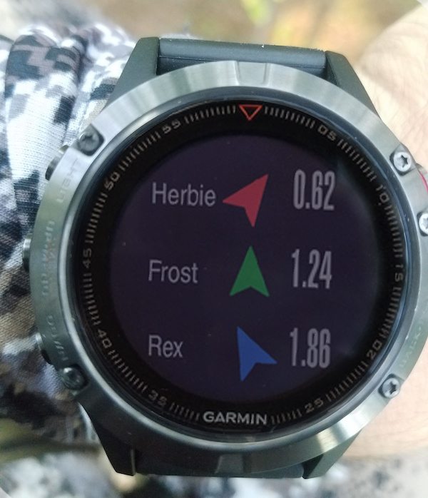 Garmin dog track fenix on sale 5