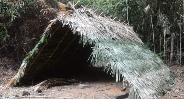 Primitive Technology: How to Build an Elaborate A-Frame Hut with Stone ...