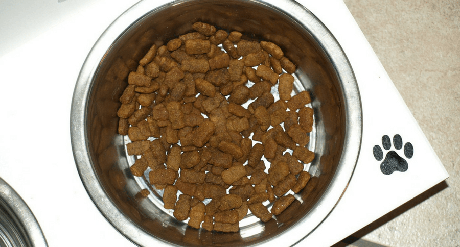 https://www.wideopenspaces.com/wp-content/uploads/sites/3/2018/03/dog-food-dish.png?fit=900%2C484