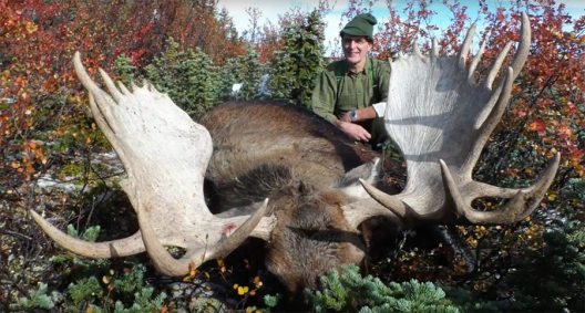 Watch This Incredible British Columbia Moose Hunt - Wide Open Spaces