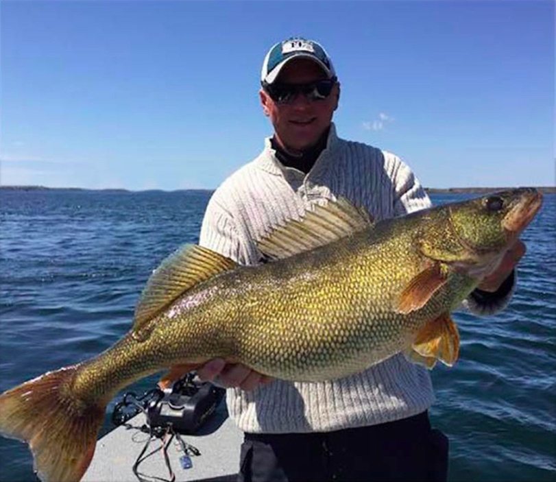 Big Walleye Could Be New Record for New York - Wide Open Spaces