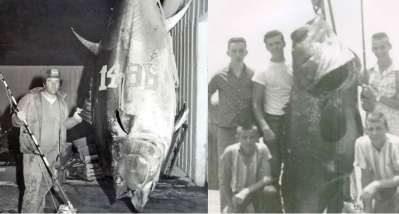 This Record Swordfish is Worth More Than $325,000, AND a New Nissan ...