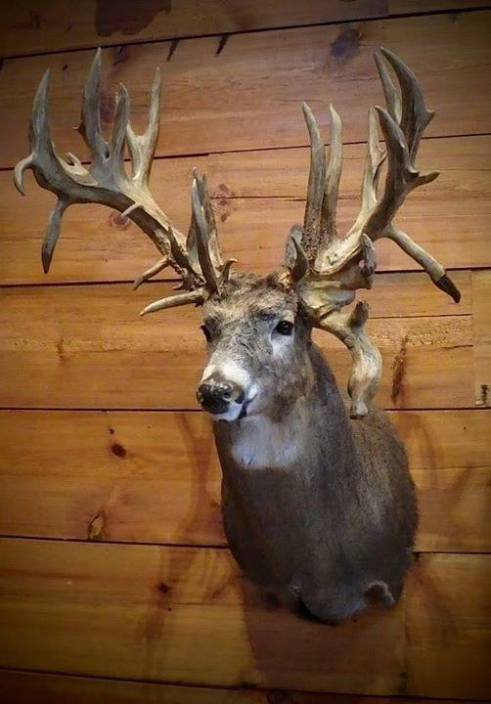 #WhitetailWednesday: 8 of the Biggest Bucks Ever Taken by Youth Hunters ...