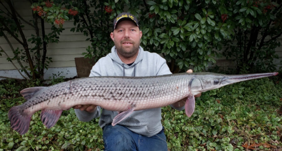 Massive Prehistoric Hybrid Gar Caught in Texas - Wide Open Spaces