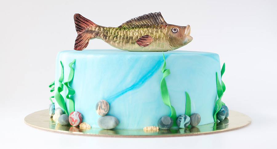 Fishing Theme for Outdoor Sports Fisherman Birthday Party Ideas, Photo 10  of 10