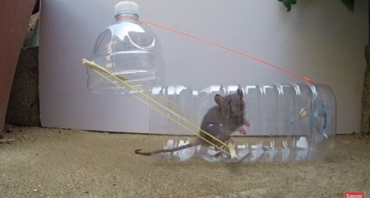 Video: 5 Super Easy Mouse Traps to Make Yourself - Wide Open Spaces