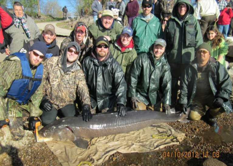 Longest Sturgeon Ever Taken on Lake Winnebago Sets Wisconsin Record ...