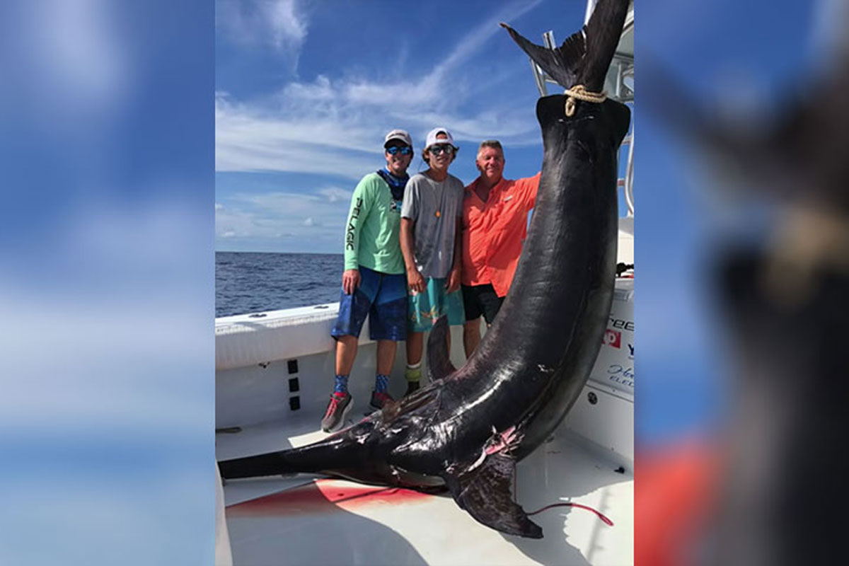 Angler Slices Open Swordfish Stomach, Pulls Out a Huge Squid - Wide ...