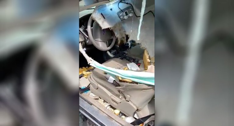 This Is What Happens When A Bear Gets Into Your Car - Wide Open Spaces