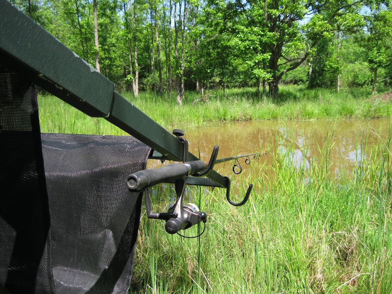 5 Ways to Use Your Tree Climbing Stand in the Offseason - Wide Open Spaces