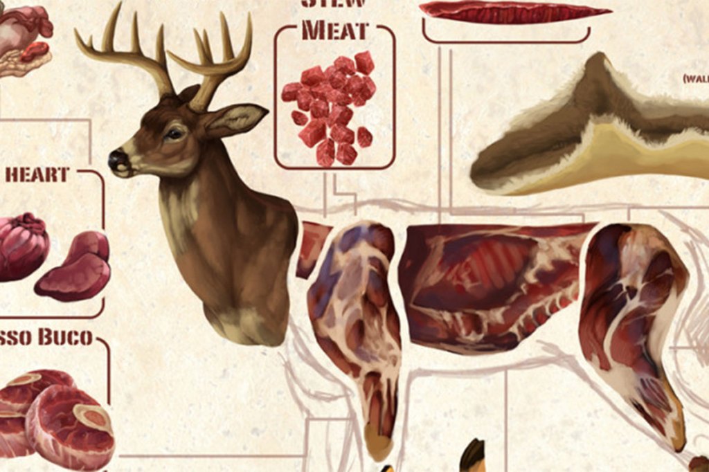 Deer Meat Guide: All the Most Common Deer Cuts and Parts - Wide Open Spaces