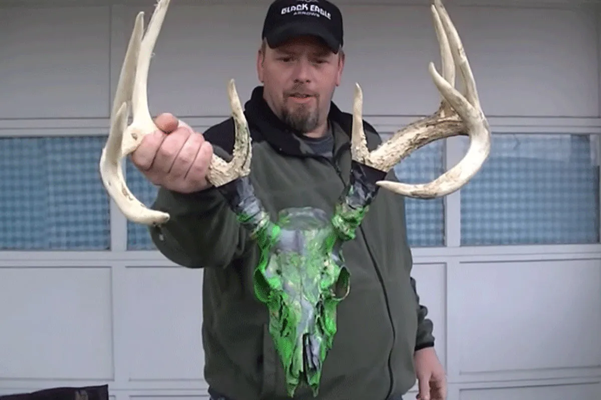 How to Dip a Deer Skull With Spray Paint and a Large Bucket Wide Open