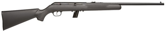 9 Best .22 Rifles for Plinking and Hunting in 2022