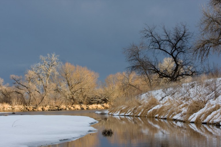 Best Trout Streams In North America