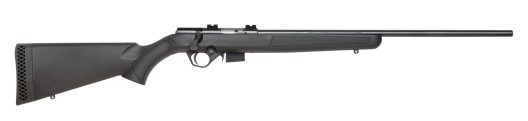 .17 HMR Rifles: The 8 Best Picks on the Market