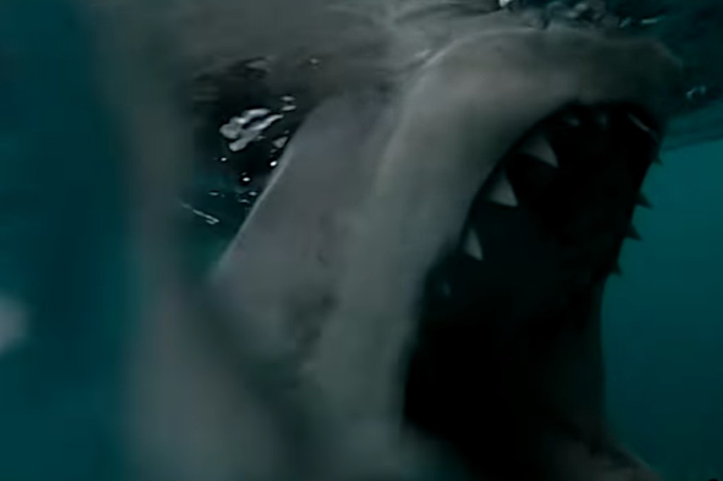 Brothers Film 17-Foot Great White Shark with Their GoPro as It Bumps ...