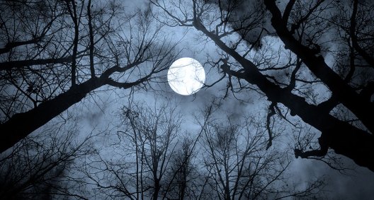 Hunter's Moon: What the Term Means and Where It Originated - Wide Open ...