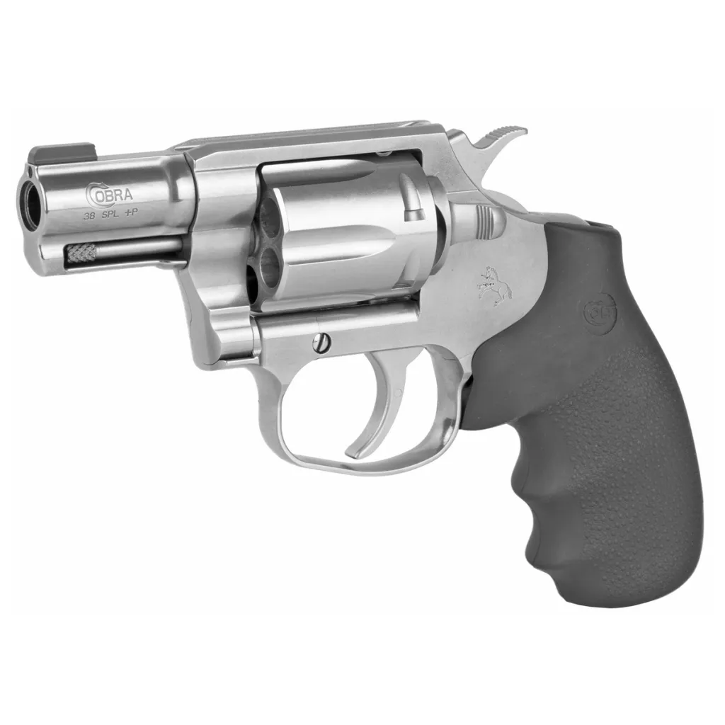 8 Great Choices for Revolvers Chambered in .38 Special - Wide Open Spaces