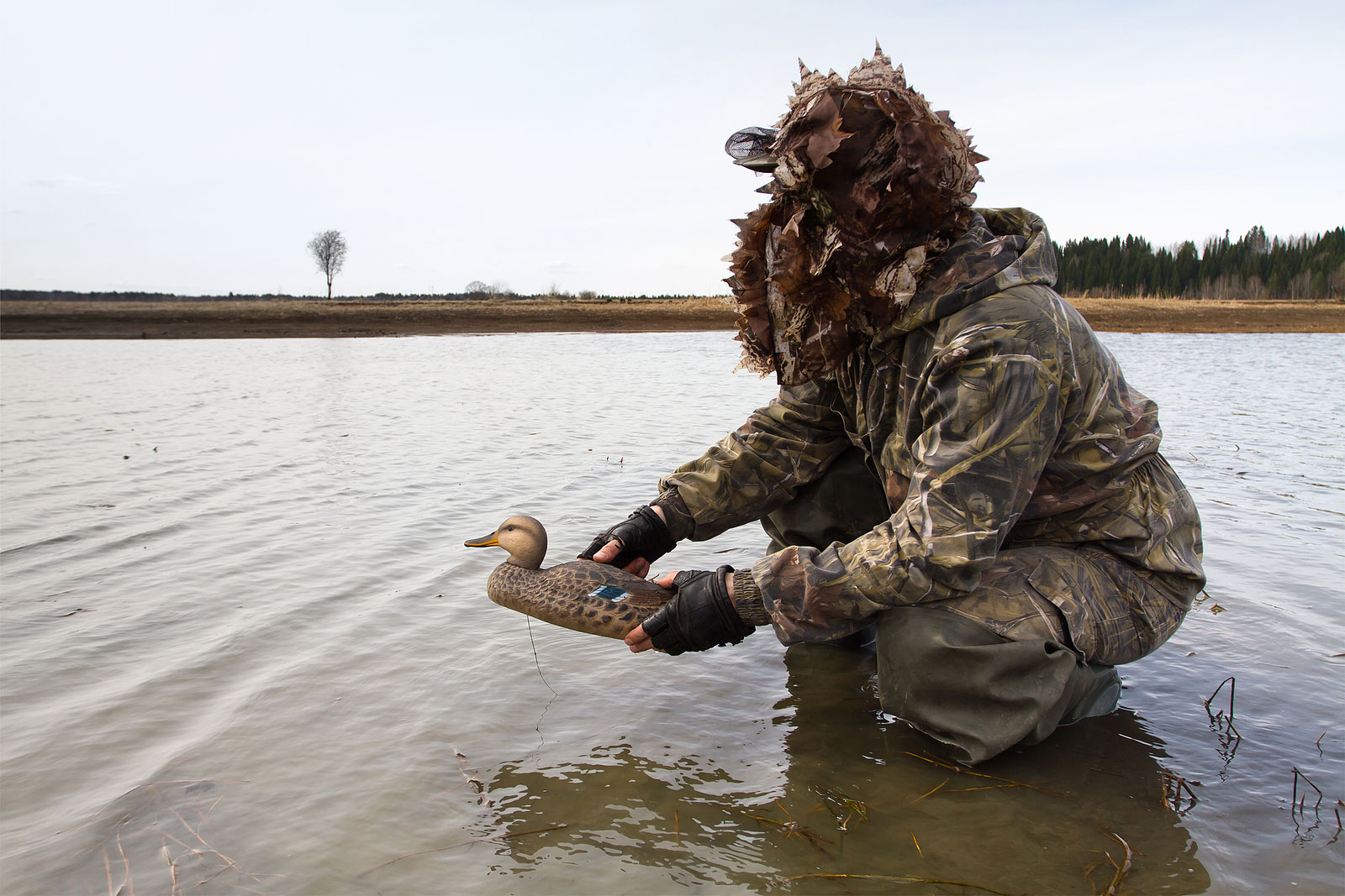 Duck Decoy Spreads: 4 Of The Most Popular Strategies, Explained - Wide ...