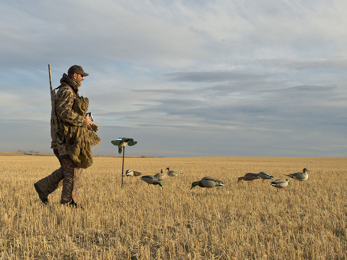 Duck Decoy Spreads: 4 Of The Most Popular Strategies, Explained - Wide ...