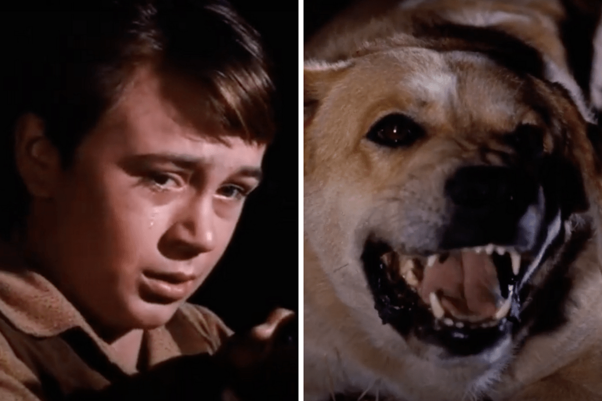 old-yeller-ending-scene-the-climactic-twist-to-disney-s-classic