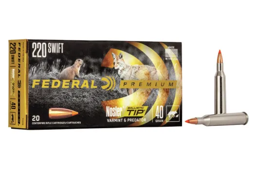 Fastest Rifle Cartridges: 9 Choices With the Best Bullet Velocity