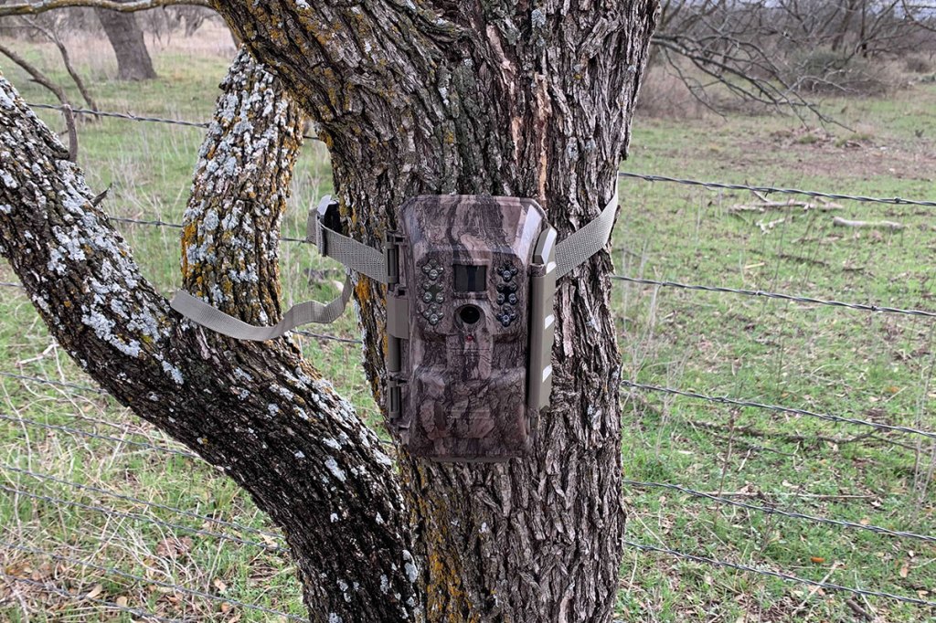 Cellular Trail Camera Pros, Cons, Ethics, and Available Models