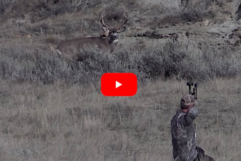 Bowhunter Successfully Spots and Stalks Big Mule Deer Despite a Lack of ...