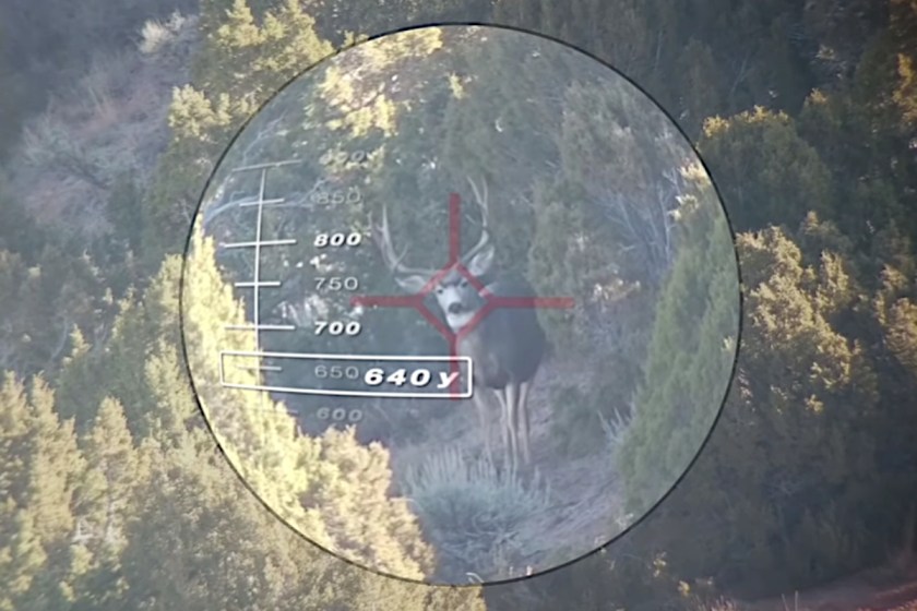 Adam LaRoche Drops Big Mule Deer With 640-Yard Shot - Wide Open Spaces