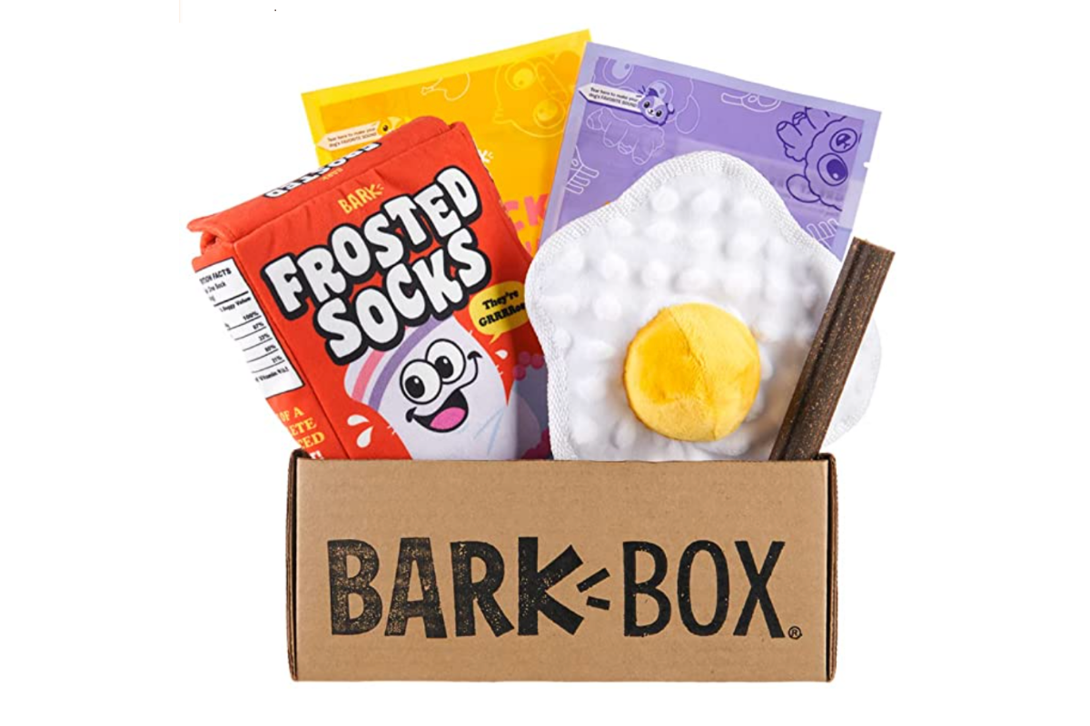 Bark Box Subscription Review I Tried It Out; Here's The Good & Bad