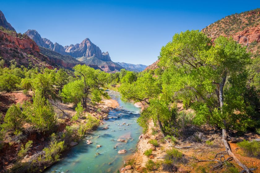 Las Vegas to Zion National Park: Road Trip Sightseeing + The Best Route