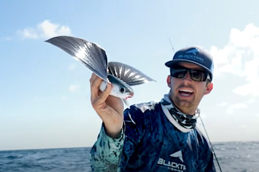 Angling for Flying Fish Makes for a Unique Experience in Florida - Wide ...