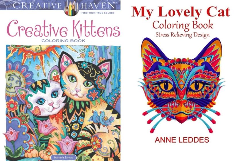 Cat Coloring Book 8 Best Books of 2021 for Art Therapy (For Everyone)